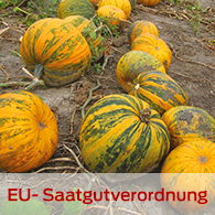 EU-Saatgutverordnung