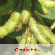 Gentechnik