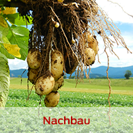 Nachbau