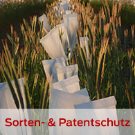 Sorten- und Pflanzenschutz